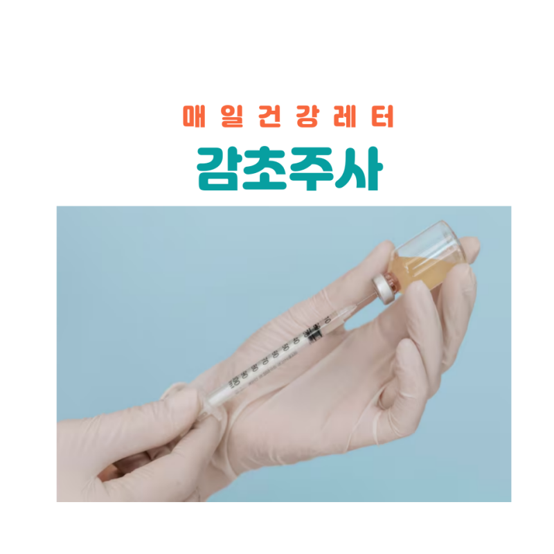 감초주사효능 주기 가격 실비 부작용