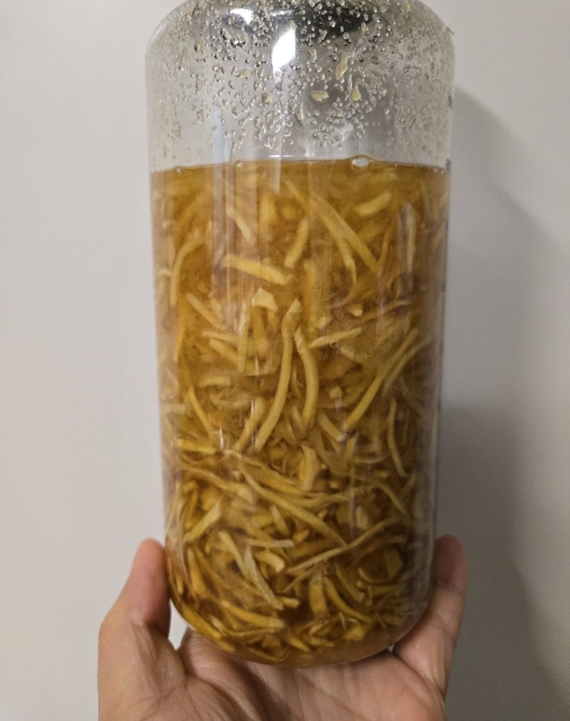 “수제 생강청 만들기 전 필독! 야채슬라이서 썼다가 생강즙만 본 썰 + 생강 효능 & 간단 레시....
