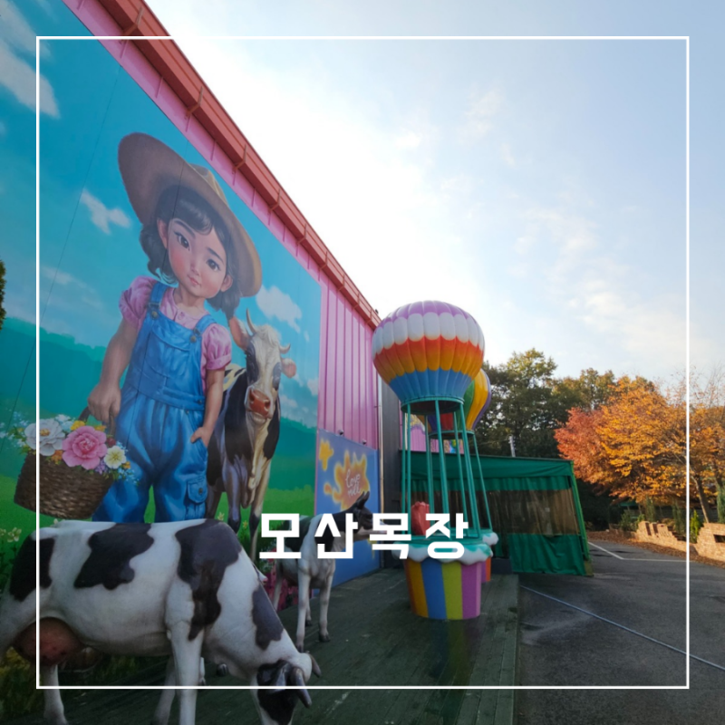파주 모산목장 우유농장 치즈 피자 만들기 아이와