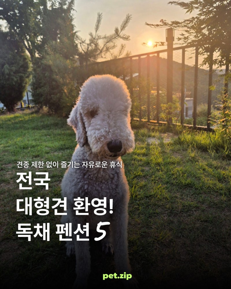 사진 13