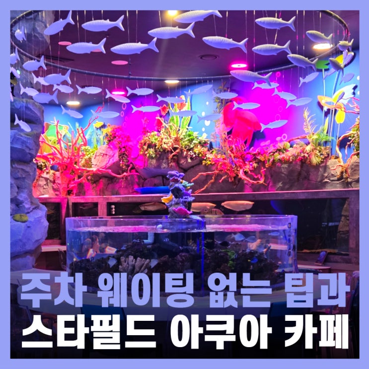  고양 스타필드 카페 주차 팁 아쿠아카페