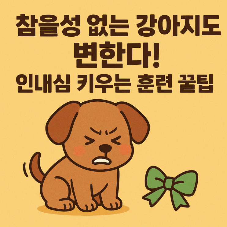   기다림도 훈련이 필요해요! 강아지 인내심 키우기 실전법