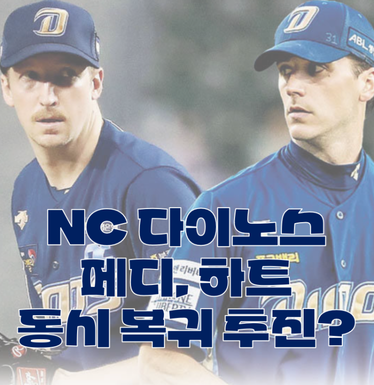 MLB FA된 페디, 하트! <b>NC 라일리</b> 보류권 풀리면 주워갈 팀은?