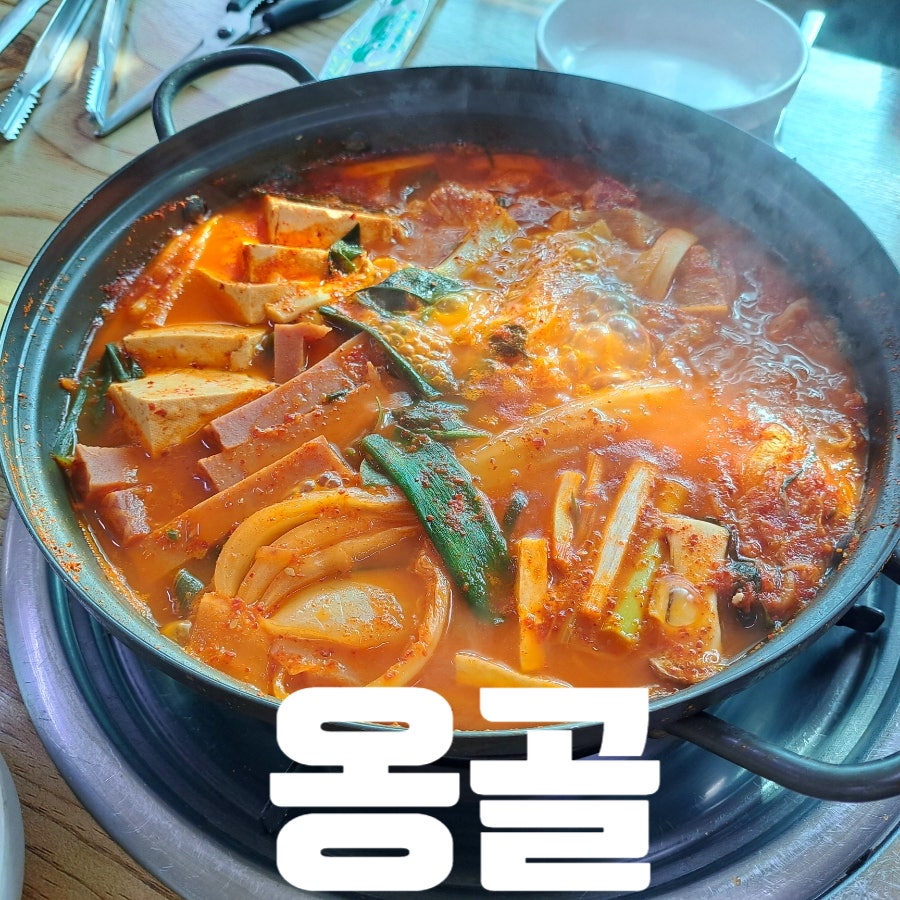 옹골 사진 5