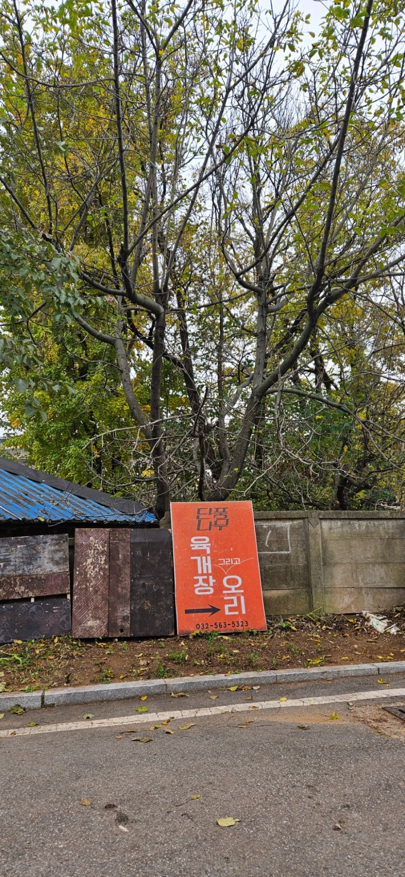 인천오류동 단풍나무 오리주물럭 후기 – 매콤하고 깊은 맛의 오리고기 맛집!