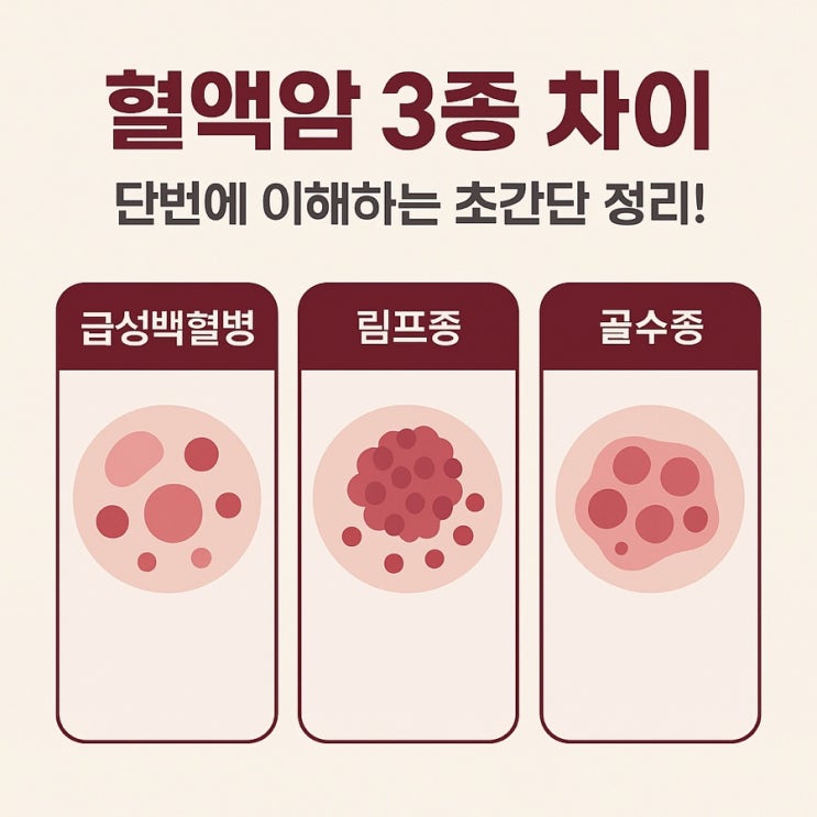  혈액암 종류 총정리: 백혈병·림프종·다발골수종 차이 쉽게 이해하기