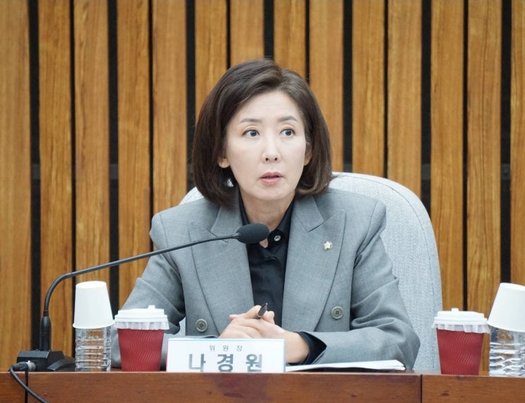 나경원 "입법·행정 점령한 민주당 <b>내란 몰이</b>로 군·검찰·법원... 