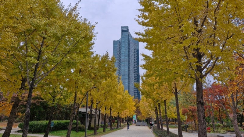 서울 단풍명소, 가을빛이 머무는 곳 서울숲 단풍 여행