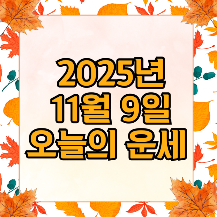  2025년 11월 9일 운세 오늘의운세 띠별운세