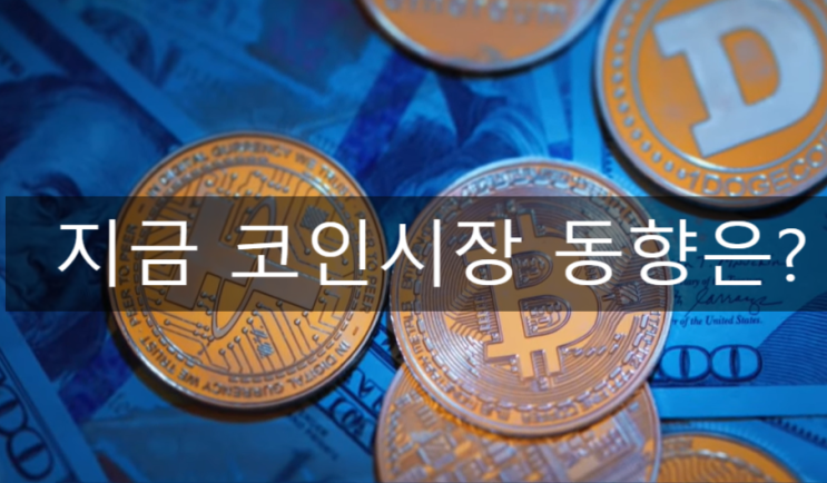 11월 1주 <b>암호화폐 시장 동향</b>, 지금이 기회인가?