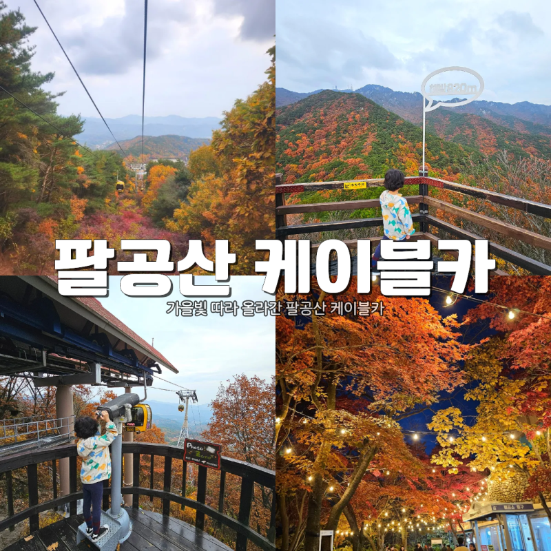 팔공산 케이블카 예약 요금 단풍 시간 주차장 할인