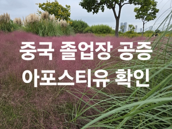 중국 고등학교 졸업장, 성적표 공증 및 아포스티유 확인