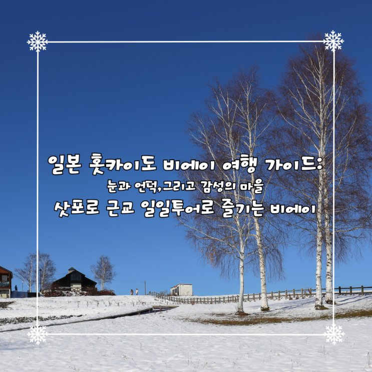  일본 홋카이도 비에이 여행 가이드: 눈과 언덕,그리고 감성의 마을 - 삿포로 근교 일일투어로 즐기는 비에이