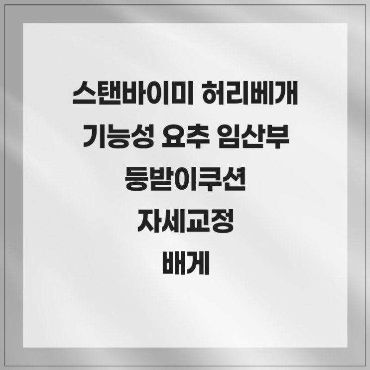  허리 통증 완화! 스탠바이미 허리베개 기능성 요추 임산부 등받이쿠션 자세교정 배게
