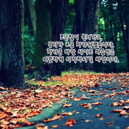  11월 인사말, 10일 월요일 아침인사문자
