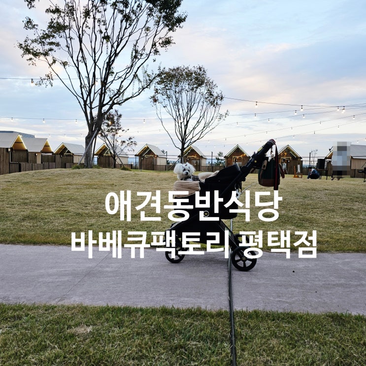  평택 감성캠핑 맛집, 애견동반식당 바베큐팩토리 평택점 방문 후기