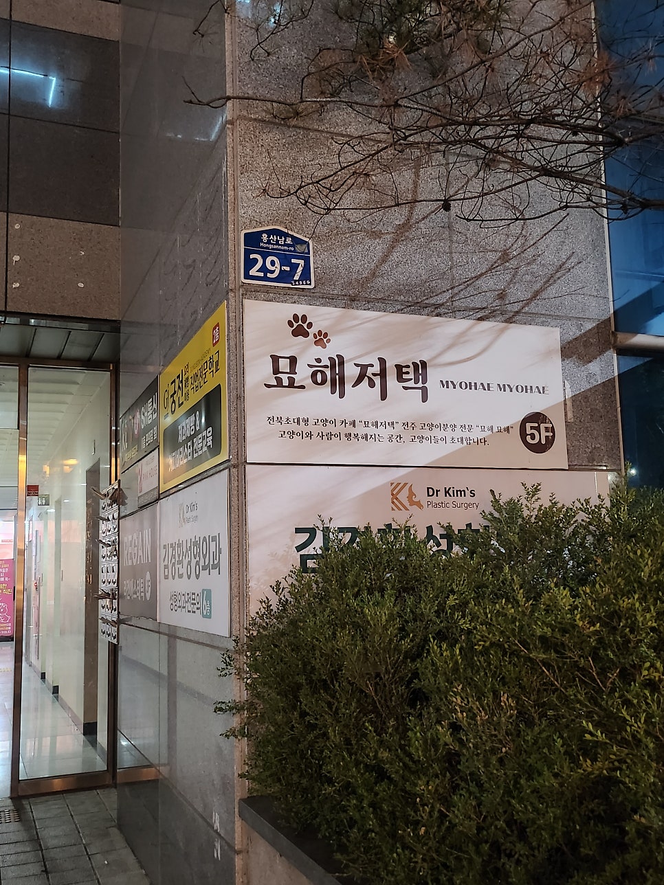 전주고양이카페 묘해저택방문     솔직 후기 관련 사진