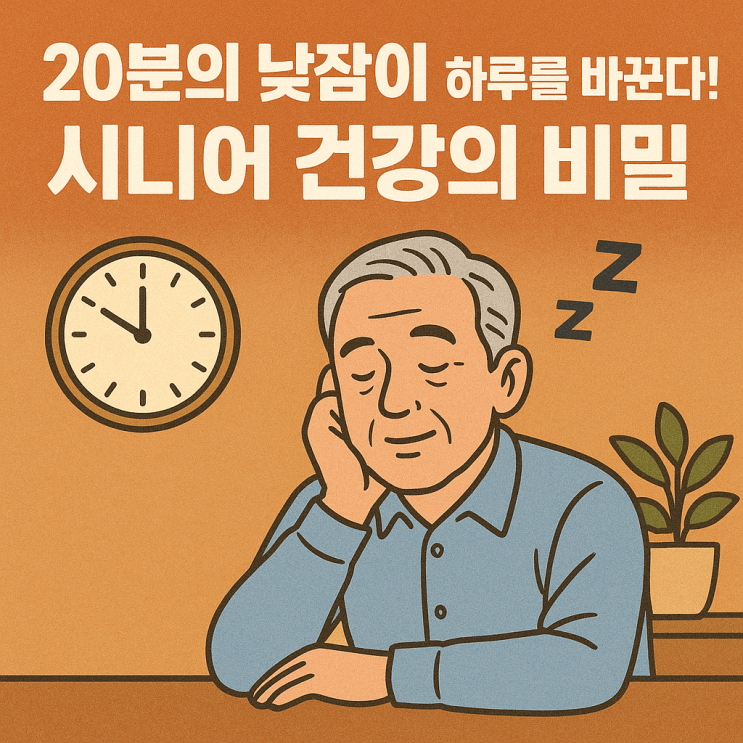   낮잠, 얼마나 자야 건강에 좋을까? 시니어를 위한 낮잠의 황금 시간