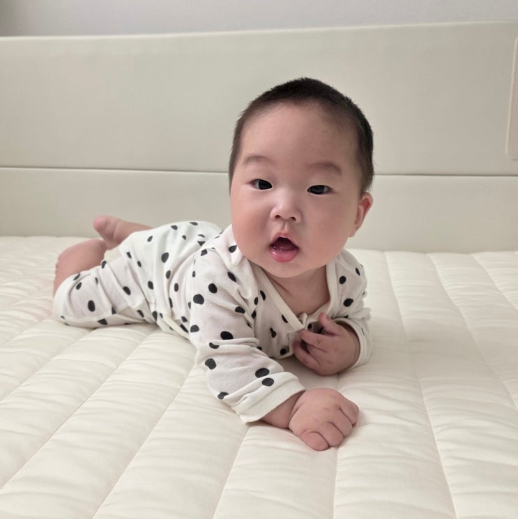  알집 포레스트 범퍼침대에 레우토 토퍼 맞춤제작 아기침대토퍼 추천