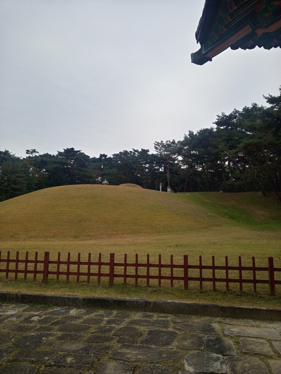 항아리 수제비 칼국수 사진 4