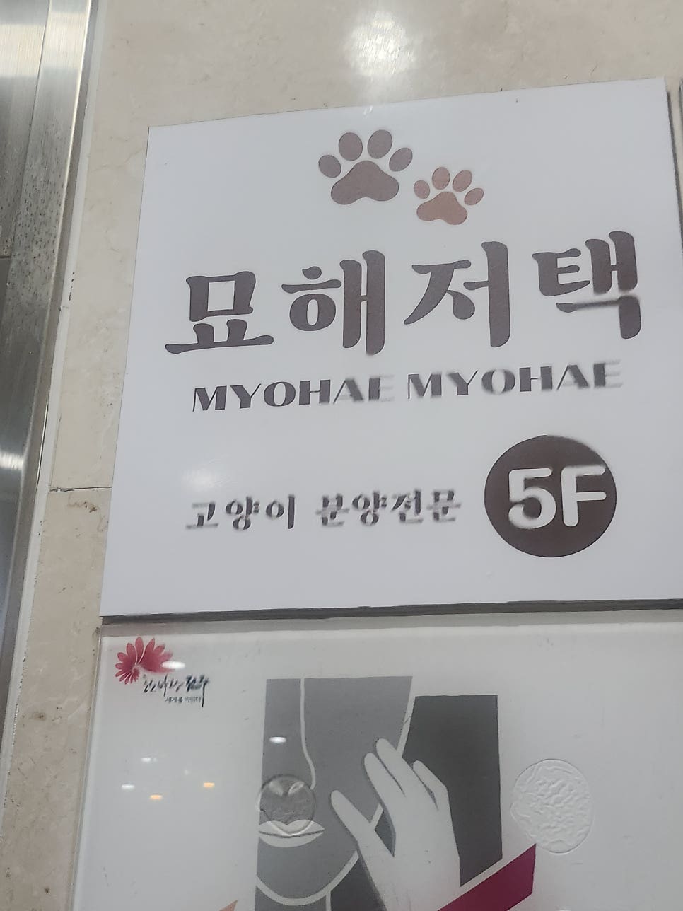 전주고양이카페 묘해저택방문     솔직 후기 관련 사진