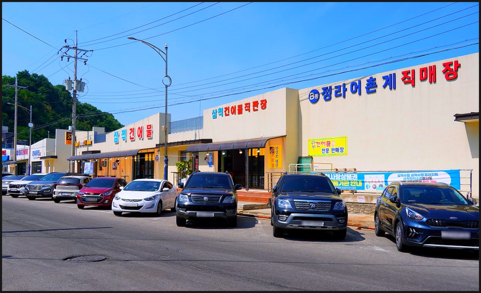 해일 사진 3
