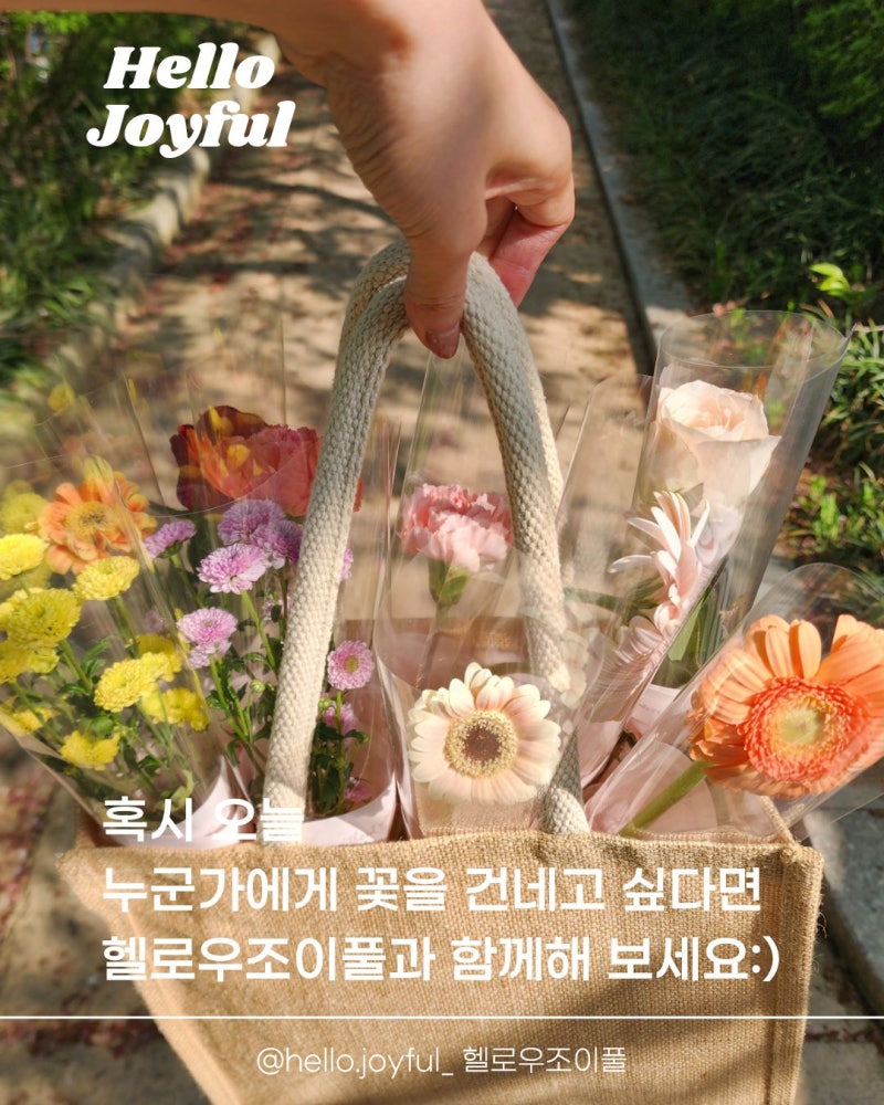 생화 한송이 꽃다발 단체 주문 9+1 온라인꽃집 헬로우조이풀