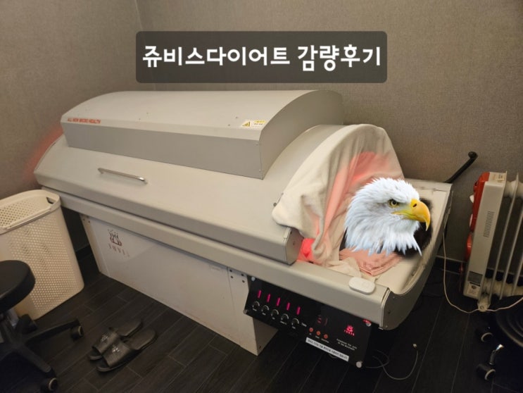  용산 헬스장 대신 선택한 쥬비스 시청점, 남자 복부감량으로 몸무게 앞자리 바꾼 후기!!