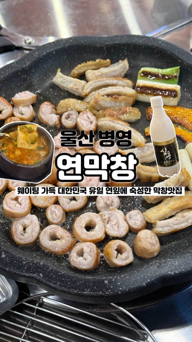  대한민국 유일 연잎에 숙성하여 부드러운 병영막창거리맛집 연막창