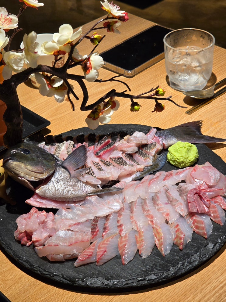  제주 자연산회 제대로 즐기는 현지인 강력추천 맛집 물고기zip