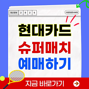 현대카드 슈퍼매치 예매방법 티켓 가격 좌석배치도 테니스 대회 선예매 일반예매 티켓팅 중....
