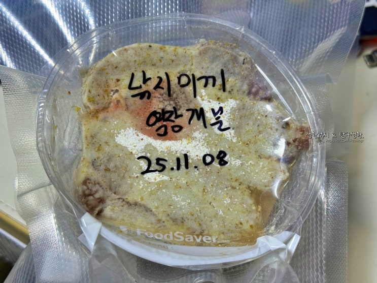  감성돔, 참돔, 붕장어 등 대물 미끼 / 개불 염장하기.