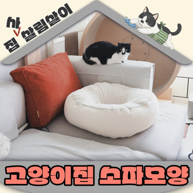  다양하게 활용가능한 고양이집의 소파 모양 선택방법