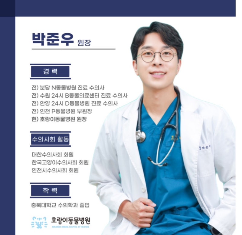사진 5