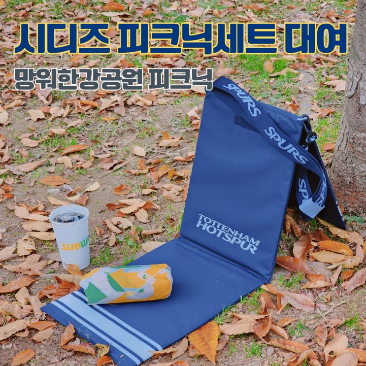  마포구 무료 피크닉세트대여 합정 시디즈 휴대용의자 망원한강공원 나들이 준비물