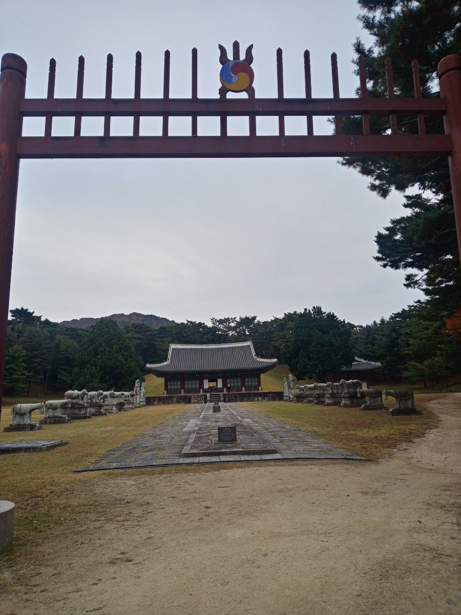 항아리 수제비 칼국수 사진 3