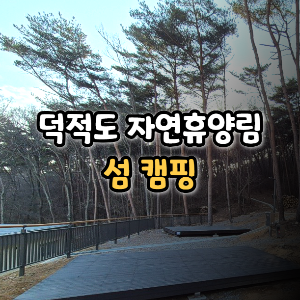  섬 캠핑 가능 경기도 공립 덕적도 자연휴양림 가는 방법