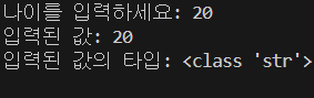  파이썬 타입 확인과 형변환 완벽 정리: type(), isinstance(), int, float, str 변환까지 한 번에 이해하기”