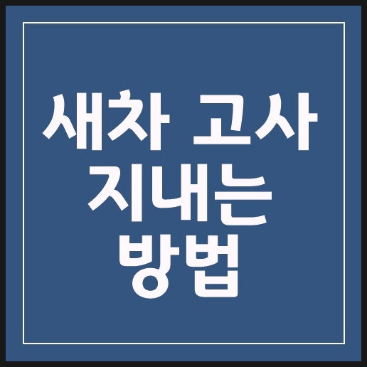 새차 고사 지내는 방법 장소와 시간 궁금한 내용만 정리했어요