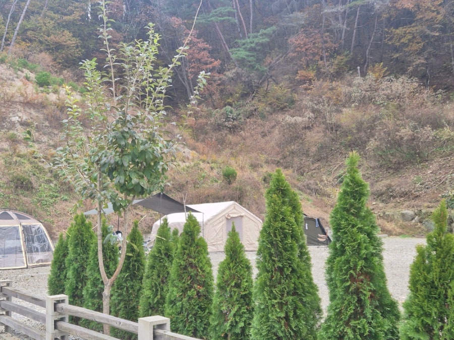 포애뜰카페 사진 3