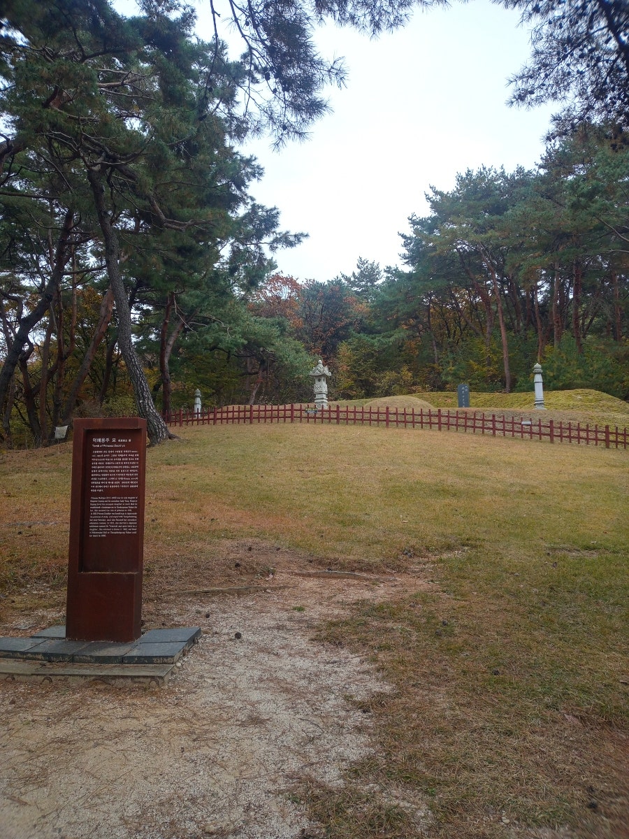 항아리 수제비 칼국수 사진 6