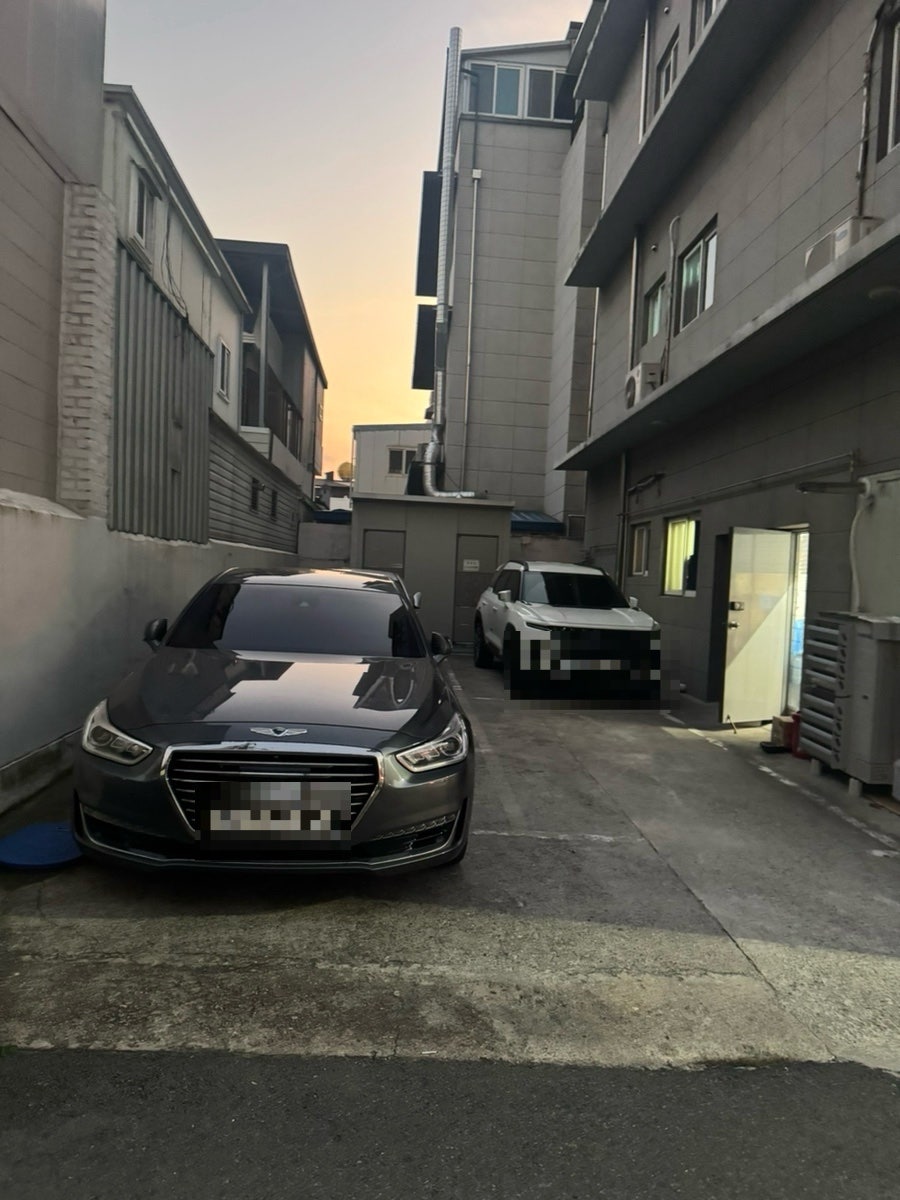 돈골 사진 3
