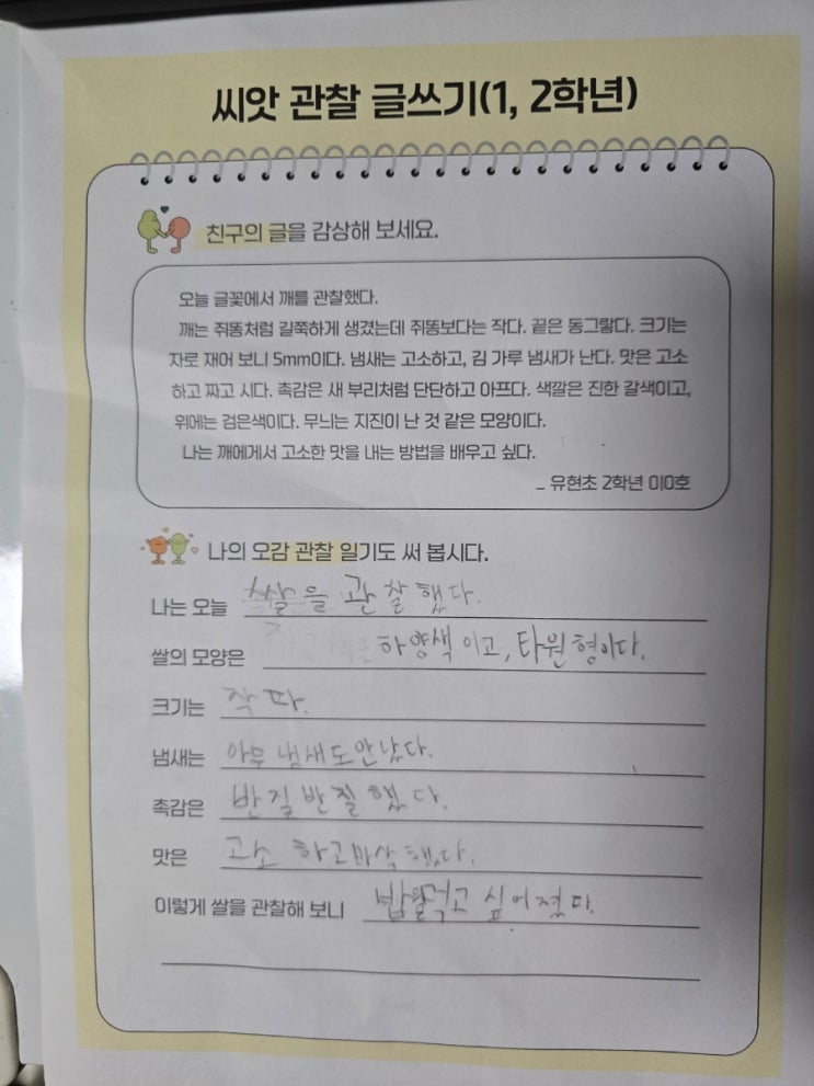  초등글쓰기 주제 쌀과 벼 관찰하고 탐구보고서 작성하기
