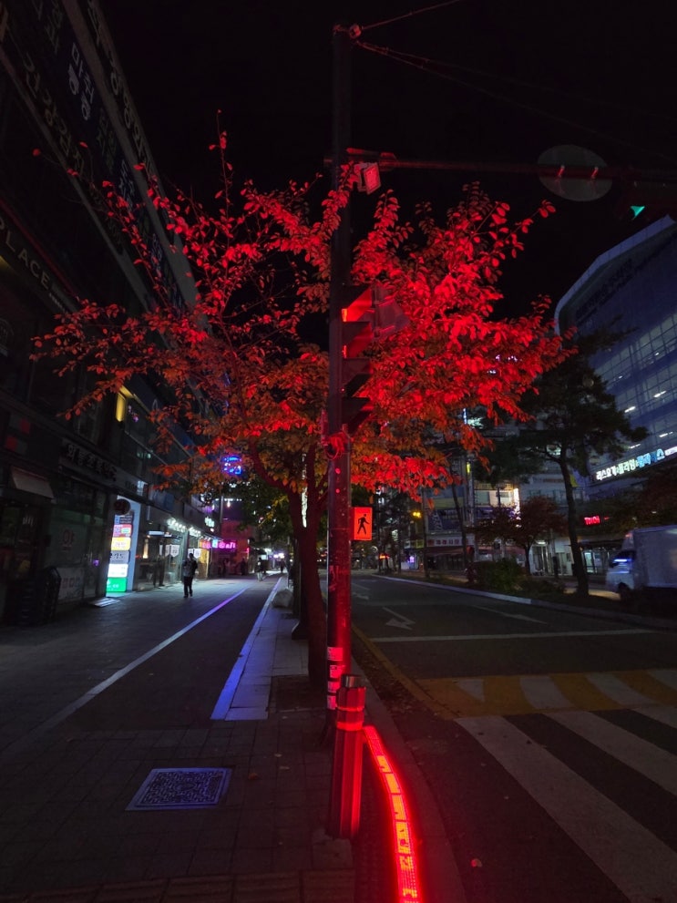  현대 수도승의 삶
