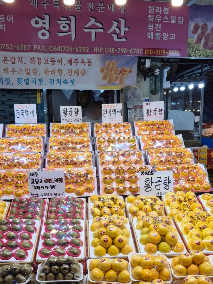  [제주 동문시장 귤택배/추천] 영희농수산 제주 귤 & 레드키위 택배로 받아본 리얼 내돈내산 후기