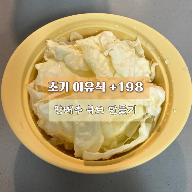 초기이유식+198d | 퍼기 찜기로 양배추 큐브 만들기/양배추 손질방법/콩콩당 땅콩버터로 알러....