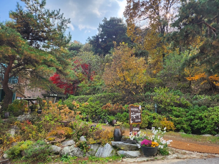 수국여울 충주 사진 3