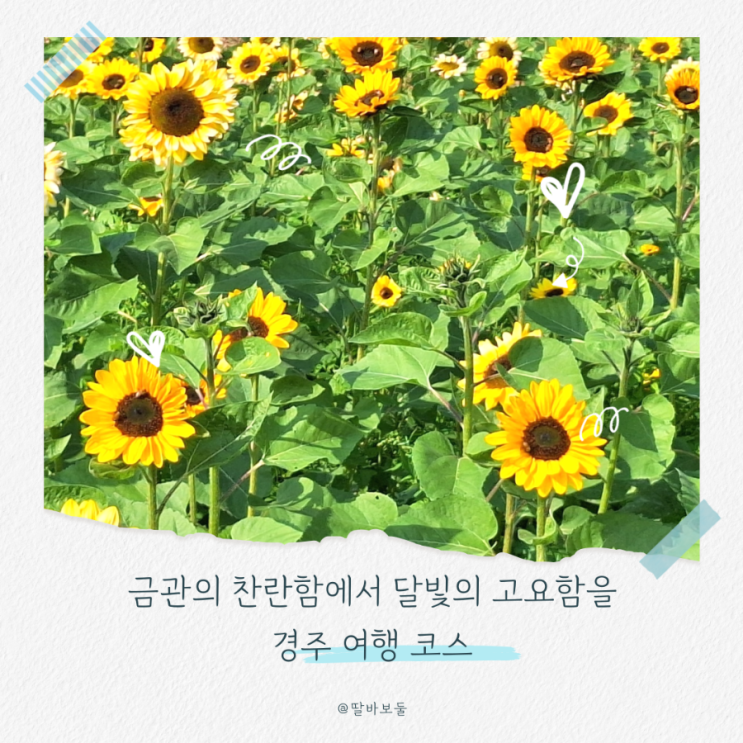  경주 당일치기 코스 최부자댁·첨성대·동궁과 월지 야경 산책