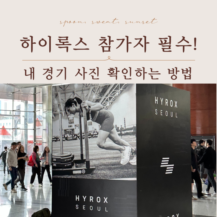  하이록스 사진 찾는 법 | Sportograf 이용 방법