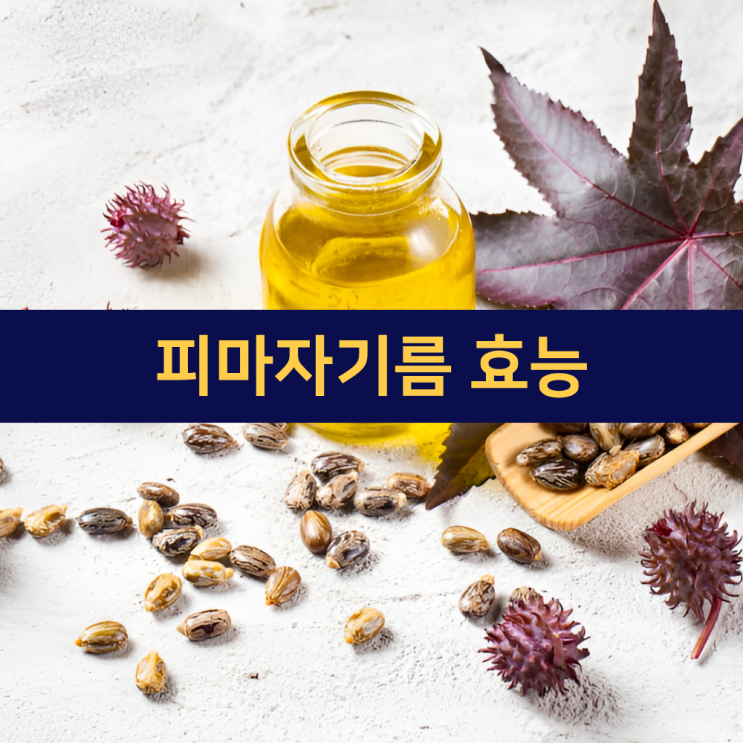  피마자기름효능 피마자오일 효능 피마자유